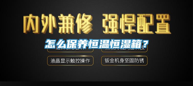 怎么保養(yǎng)恒溫恒濕箱？