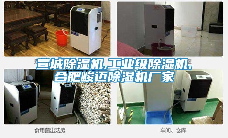 宣城除濕機,工業級除濕機,合肥峻邁除濕機廠家