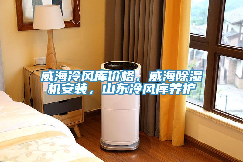 威海冷風庫價格，威海除濕機安裝，山東冷風庫養(yǎng)護