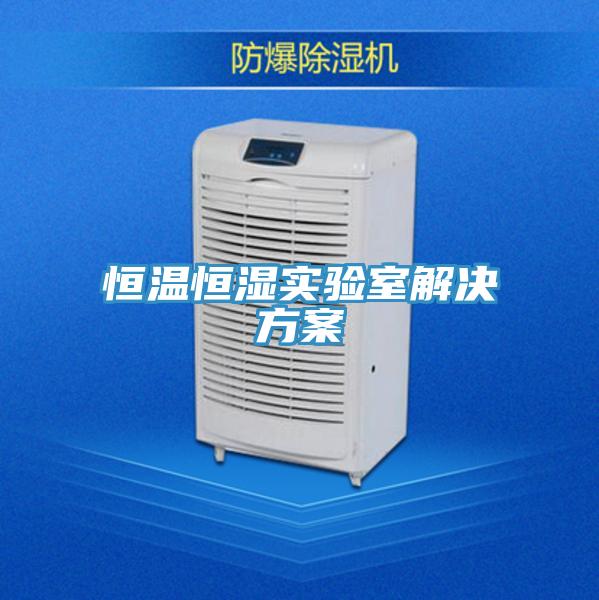 恒溫恒濕實驗室解決方案