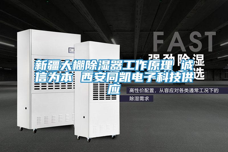 新疆大棚除濕器工作原理 誠信為本 西安同凱電子科技供應