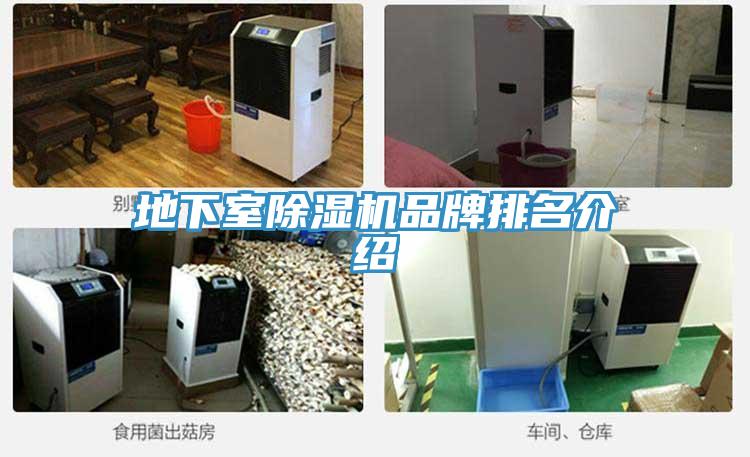 地下室除濕機(jī)品牌排名介紹