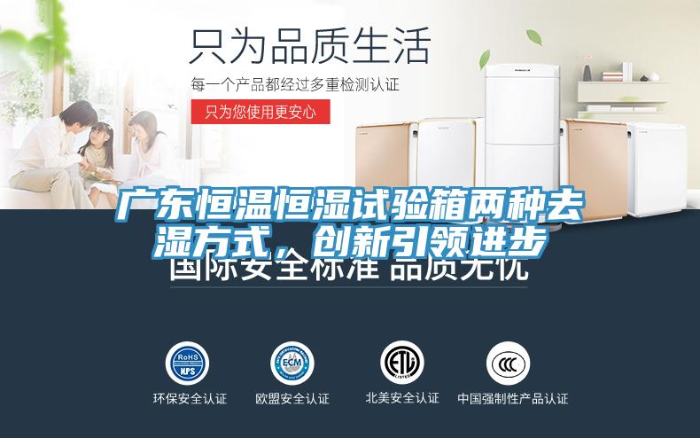 廣東恒溫恒濕試驗(yàn)箱兩種去濕方式，創(chuàng)新引領(lǐng)進(jìn)步