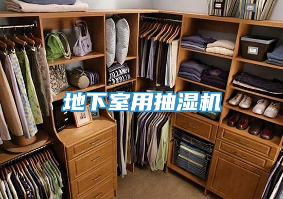 地下室用抽濕機