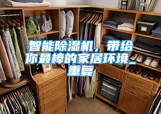 智能除濕機，帶給你最棒的家居環(huán)境_重復(fù)