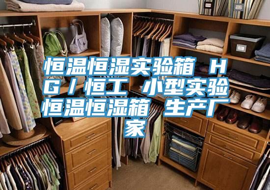 恒溫恒濕實驗箱 HG／恒工 小型實驗恒溫恒濕箱 生產(chǎn)廠家