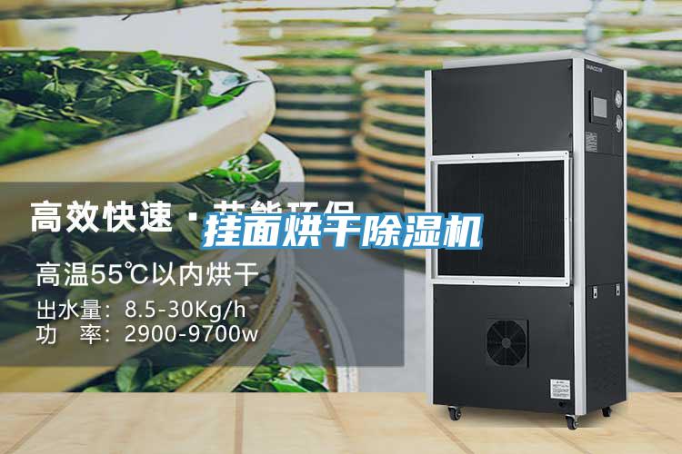 掛面烘干除濕機