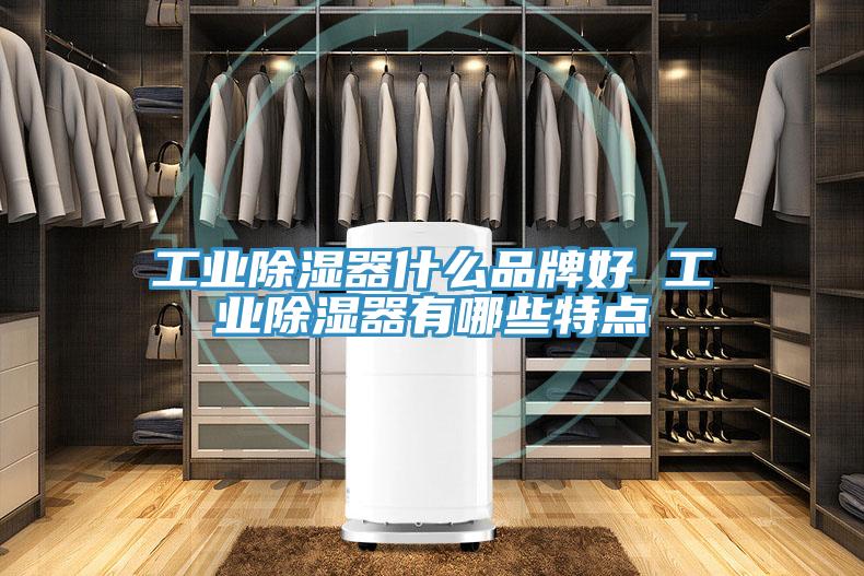 工業除濕器什么品牌好 工業除濕器有哪些特點