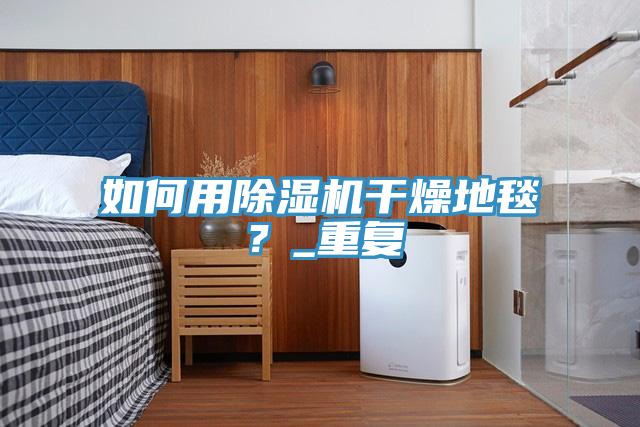 如何用除濕機干燥地毯？_重復
