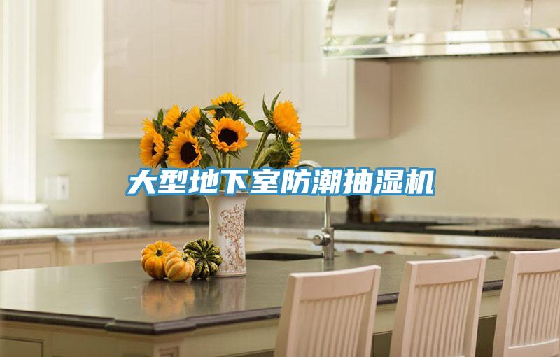 大型地下室防潮抽濕機