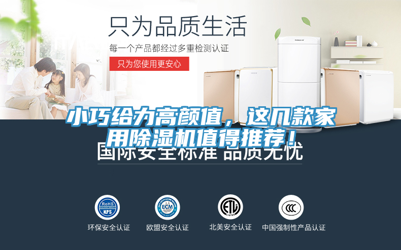 小巧給力高顏值，這幾款家用除濕機(jī)值得推薦！