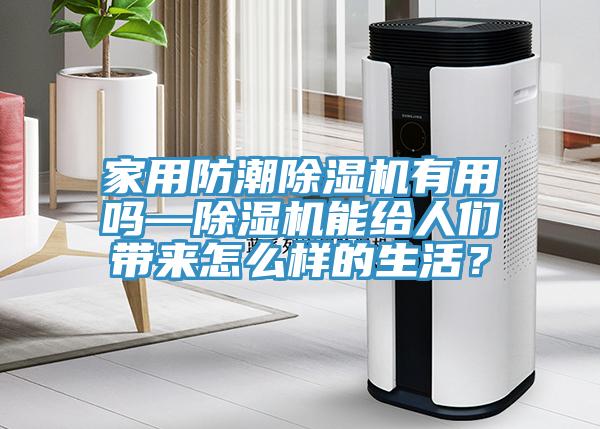 家用防潮除濕機有用嗎—除濕機能給人們帶來怎么樣的生活?
