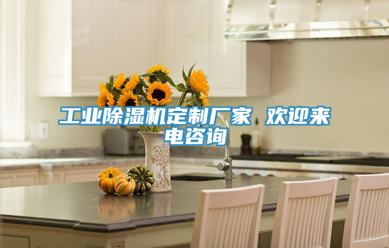 工業(yè)除濕機(jī)定制廠家 歡迎來電咨詢