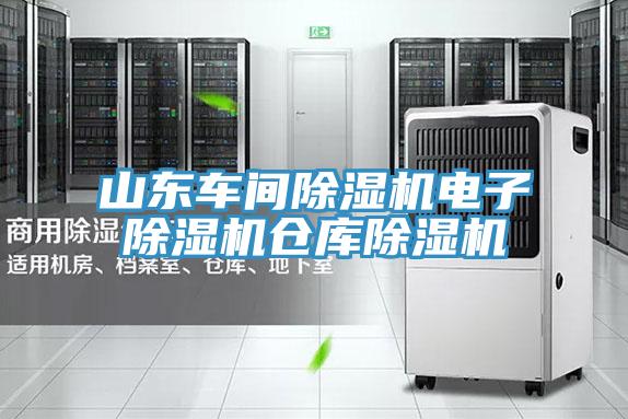 山東車間除濕機(jī)電子除濕機(jī)倉(cāng)庫(kù)除濕機(jī)