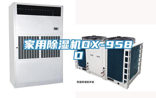 家用除濕機DX-958D