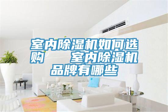 室內(nèi)除濕機(jī)如何選購   室內(nèi)除濕機(jī)品牌有哪些