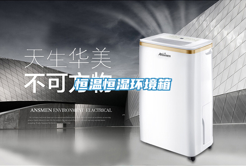 恒溫恒濕環境箱