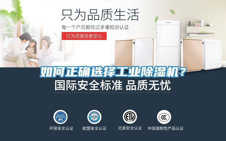 如何正確選擇工業除濕機？