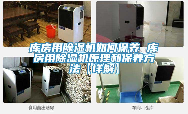 庫房用除濕機如何保養 庫房用除濕機原理和保養方法【詳解】