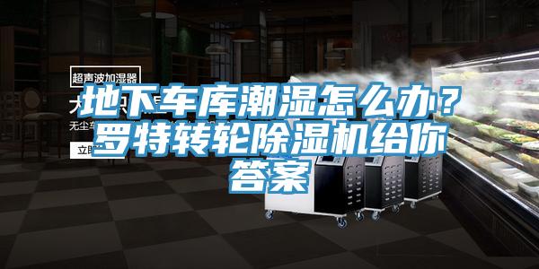 地下車庫潮濕怎么辦？羅特轉(zhuǎn)輪除濕機給你答案