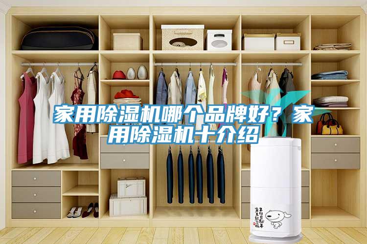 家用除濕機哪個品牌好？家用除濕機十介紹
