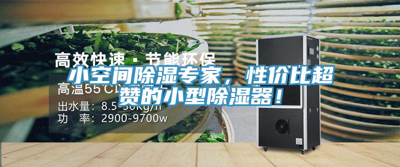 小空間除濕專家,性價比超贊的小型除濕器!