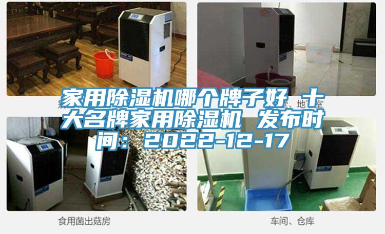 家用除濕機哪個牌子好 十大名牌家用除濕機 發布時間：2022-12-17
