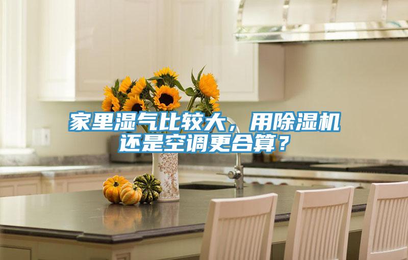 家里濕氣比較大，用除濕機還是空調更合算？