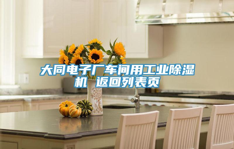 大同電子廠車間用工業除濕機 返回列表頁