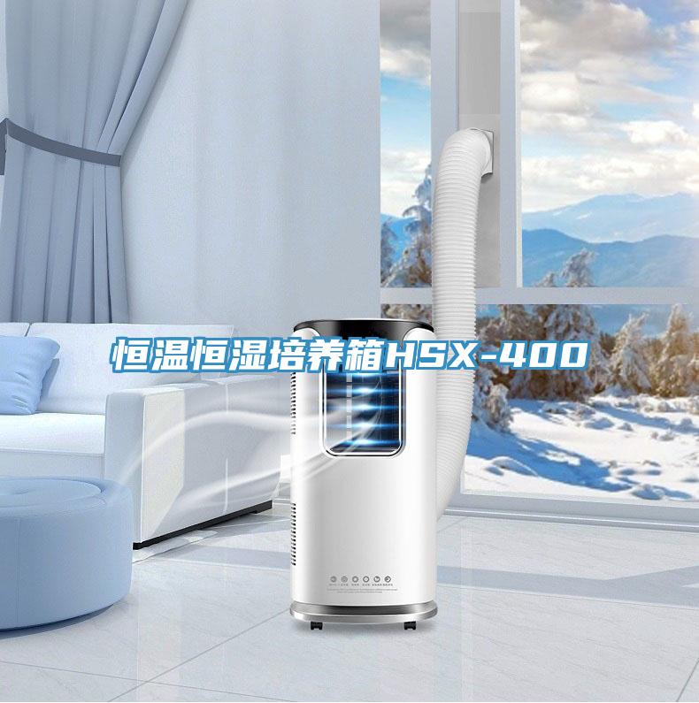 恒溫恒濕培養箱HSX-400
