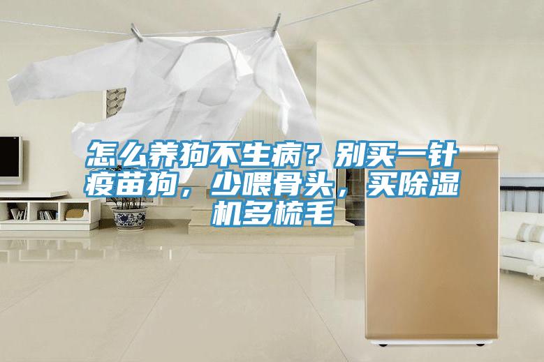 怎么養狗不生病?別買一針疫苗狗,少喂骨頭,買除濕機多梳毛