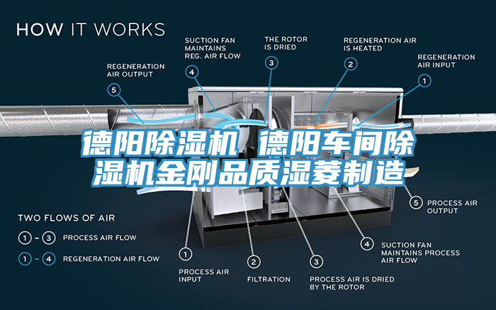 德陽除濕機 德陽車間除濕機金剛品質(zhì)濕菱制造