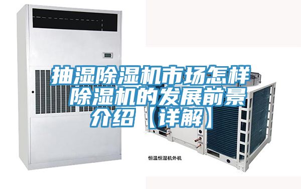 抽濕除濕機(jī)市場怎樣 除濕機(jī)的發(fā)展前景介紹【詳解】