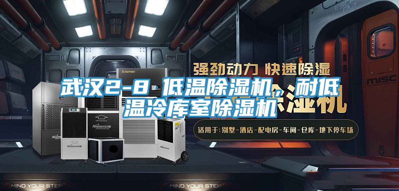 武漢2-8℃低溫除濕機(jī)，耐低溫冷庫(kù)室除濕機(jī)