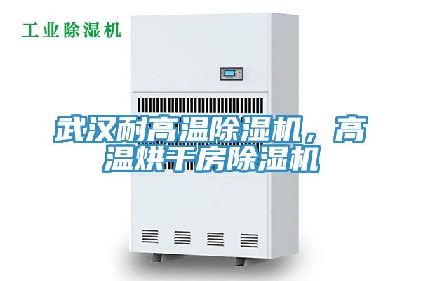 武漢耐高溫除濕機(jī)，高溫烘干房除濕機(jī)
