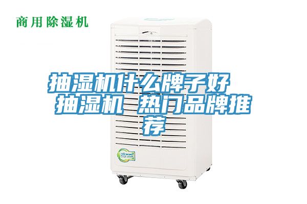 抽濕機(jī)什么牌子好  抽濕機(jī) 熱門品牌推薦