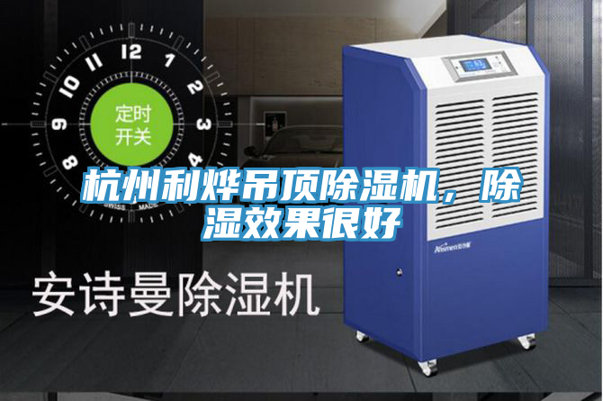 杭州利燁吊頂除濕機(jī)，除濕效果很好