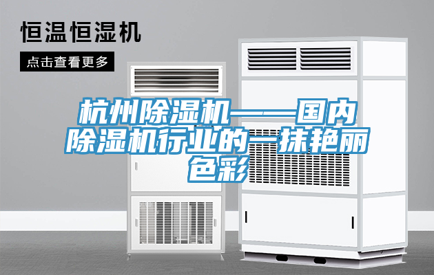 杭州除濕機——國內除濕機行業的一抹艷麗色彩