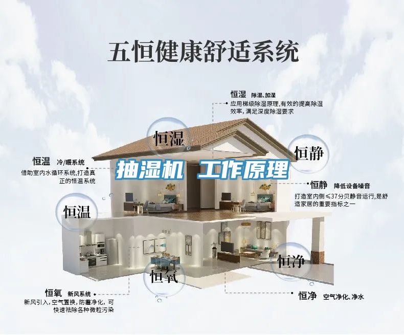 抽濕機(jī) 工作原理