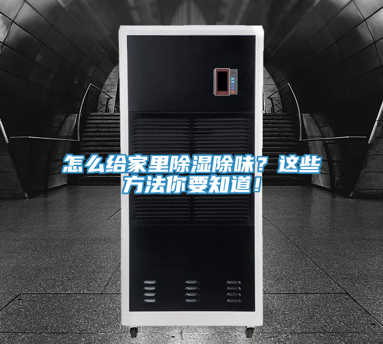 怎么給家里除濕除味？這些方法你要知道！