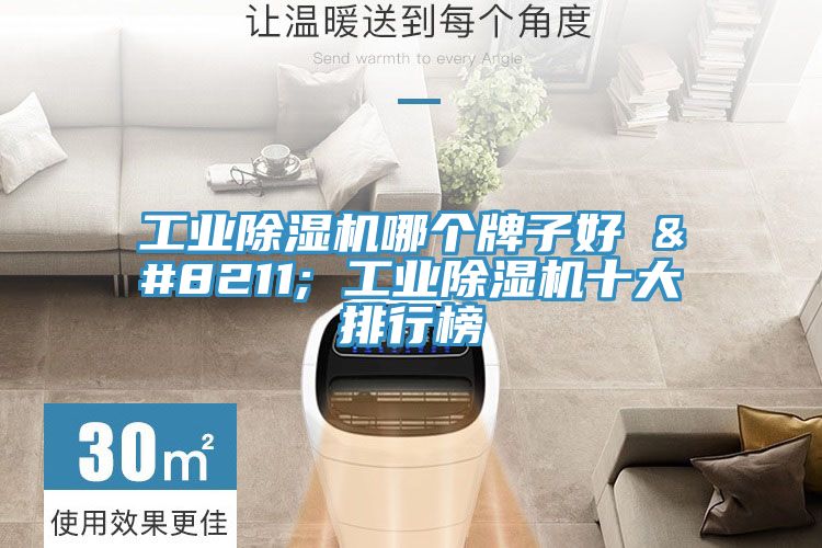 工業除濕機哪個牌子好 – 工業除濕機十大排行榜