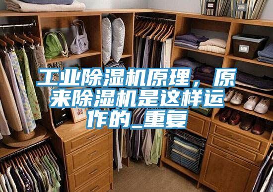 工業(yè)除濕機原理，原來除濕機是這樣運作的_重復(fù)