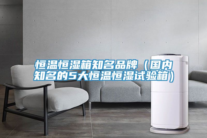 恒溫恒濕箱知名品牌（國(guó)內(nèi)知名的5大恒溫恒濕試驗(yàn)箱）