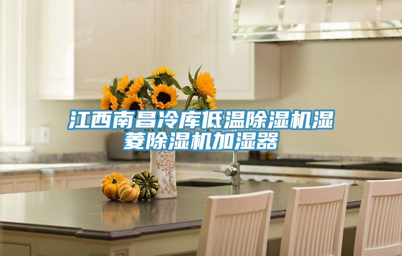 江西南昌冷庫低溫除濕機濕菱除濕機加濕器