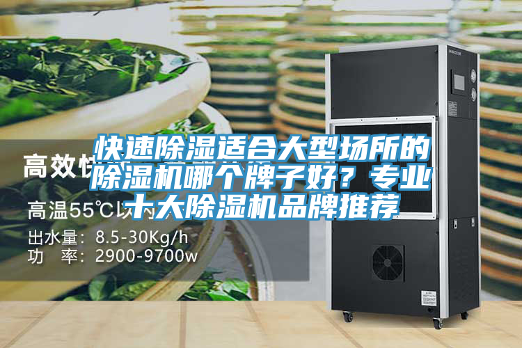 快速除濕適合大型場所的除濕機哪個牌子好？專業(yè)十大除濕機品牌推薦