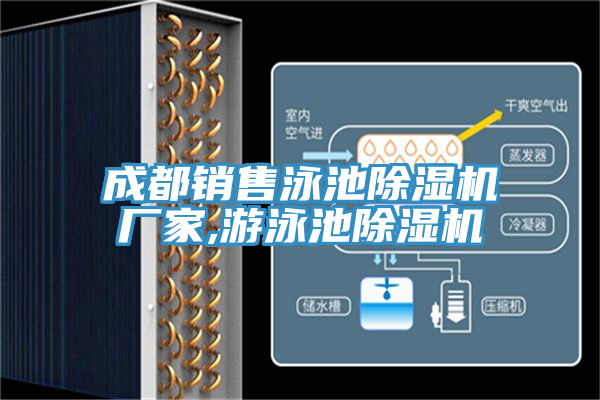 成都銷售泳池除濕機廠家,游泳池除濕機