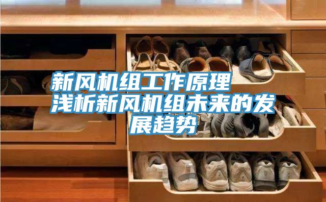 新風(fēng)機組工作原理   淺析新風(fēng)機組未來的發(fā)展趨勢