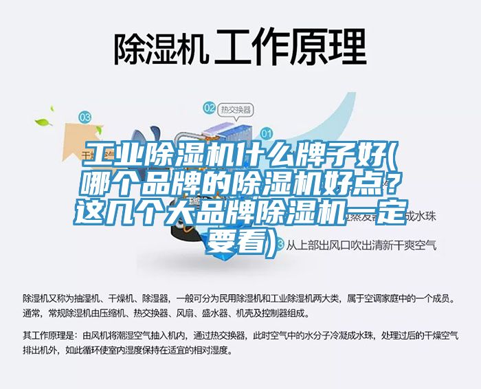 工業(yè)除濕機什么牌子好(哪個品牌的除濕機好點？這幾個大品牌除濕機一定要看)
