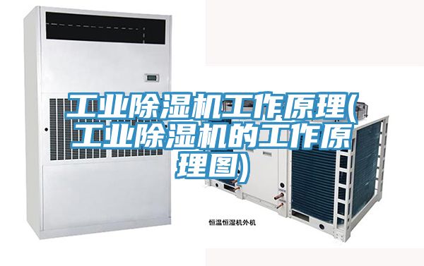 工業除濕機工作原理(工業除濕機的工作原理圖)