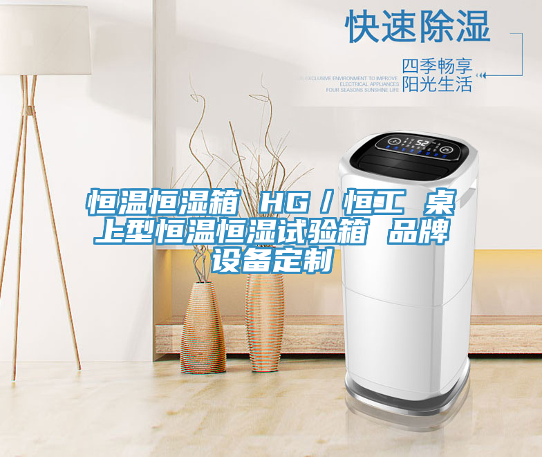 恒溫恒濕箱 HG／恒工 桌上型恒溫恒濕試驗箱 品牌設備定制